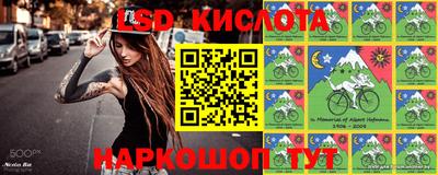 твердый Заводоуковск