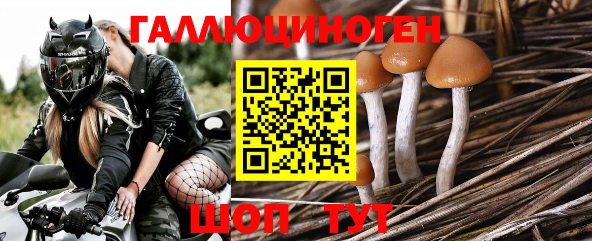 Псилоцибиновые грибы Magic Shrooms  сколько стоит  Псилоцибиновые грибы Psilocybine cubensis  Междуреченск  Вход с VPN 